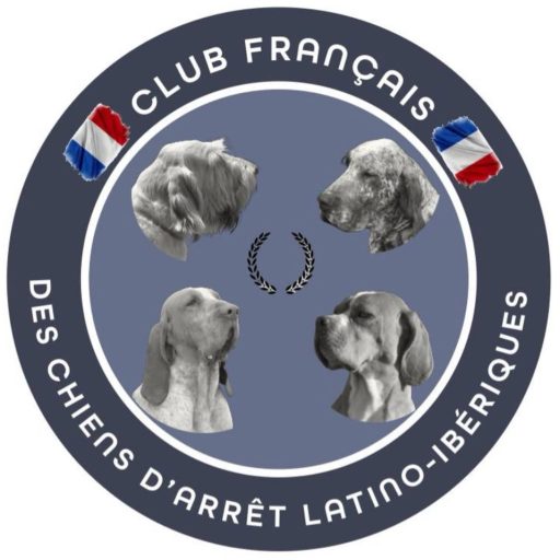Club Français des Chiens d’arrêt Latino-Ibériques
